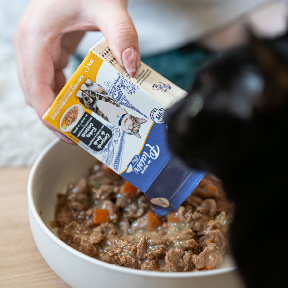 Chat nourri avec une pâtée Les Repas Plaisir